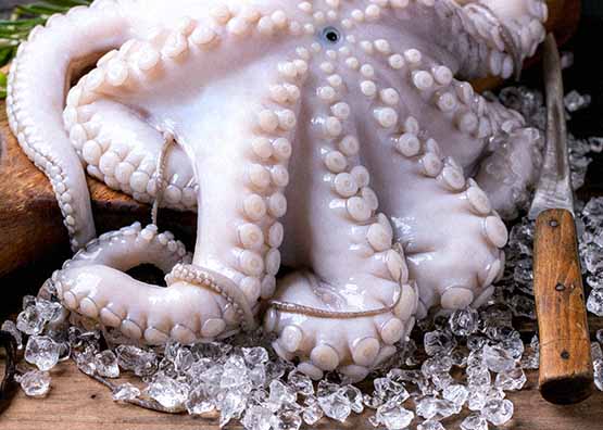 pulpo-congelado-Discefa