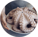 pulpo-congelado