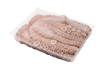 pulpo-entero-crudo-bandeja
